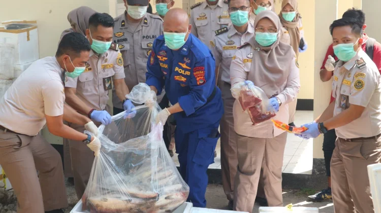 Karantina NTB Musnahkan Tiga Ton Produk Hewan dan Ikan tanpa Dokumen
