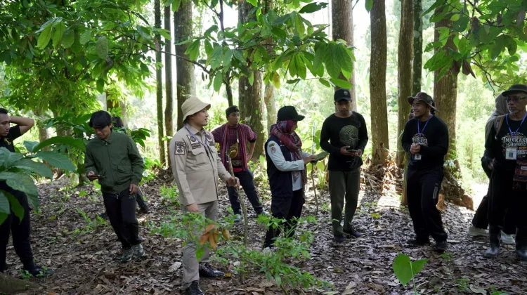 Kanwil Kemenkum NTB Kawal Pemeriksaan Indikasi Geografis Kopi Robusta Rinjani