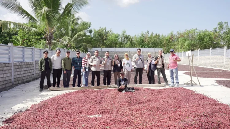Pengolahan Kopi Robusta Rinjani Diperiksa, Pastikan Mutu dan Keaslian Produk