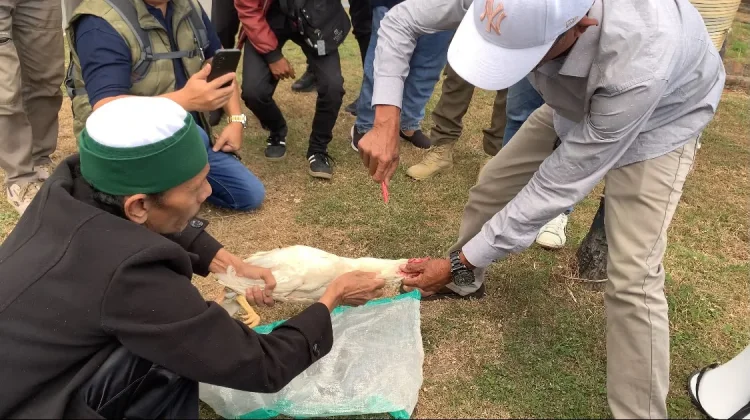Ayam Putih Disembelih, Warga Lobar Desak KPK Miskinkan Harta Hasil Korupsi LAZ