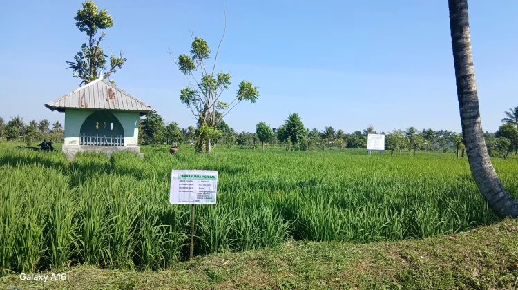 Wabup Loteng Pastikan Kendala Listrik Program Oplah Segera Dituntaskan