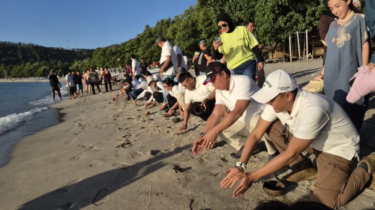 BIZAM Perkuat Konservasi Bahari untuk Dukung Pariwisata Berkelanjutan di Lombok