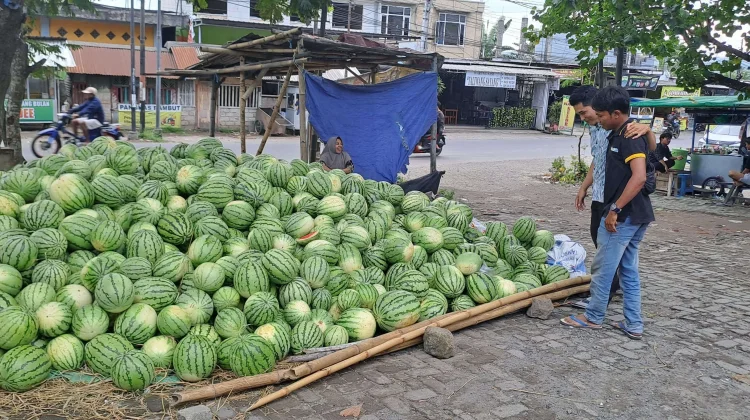 Semangka, Buah Segar dengan Segudang Manfaat bagi Kesehatan