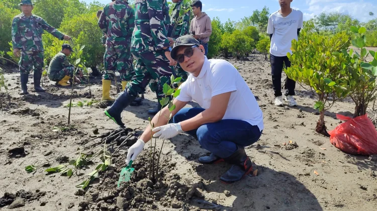 ITDC Perkuat Rehabilitasi Mangrove The Mandalika
