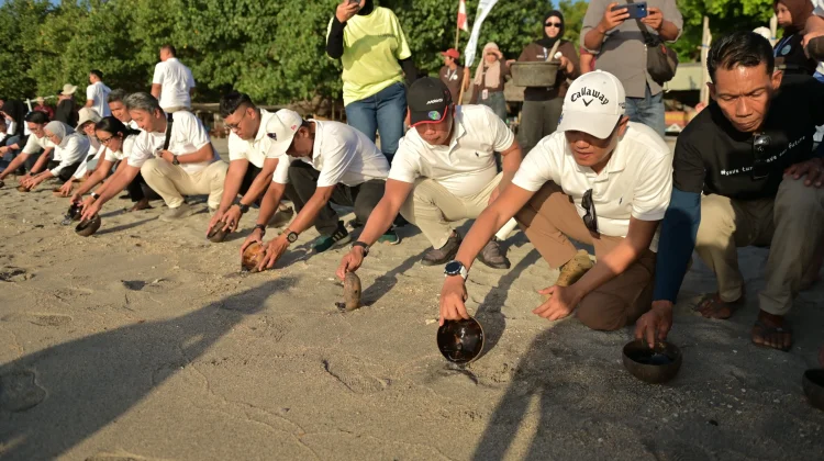 Bandara Lombok Perluas Dukungan bagi Konservasi Bahari