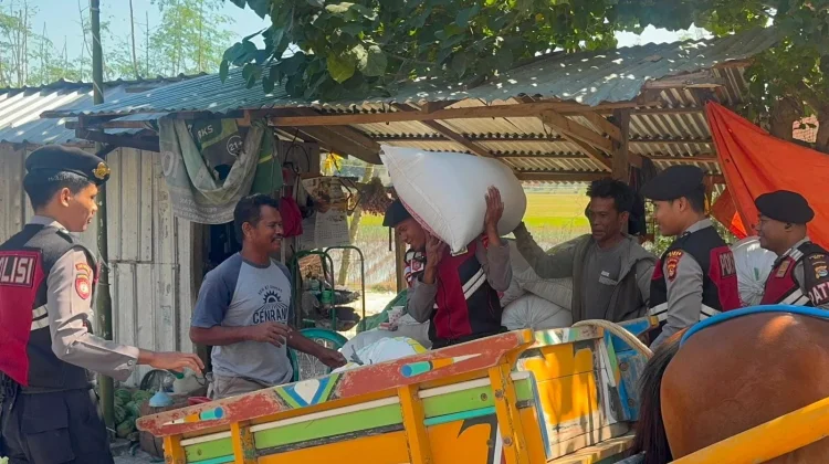 Sambil Jaga Keamanan, Samapta Polres Bima Kabupaten Ikut Ringankan Kerja Petani