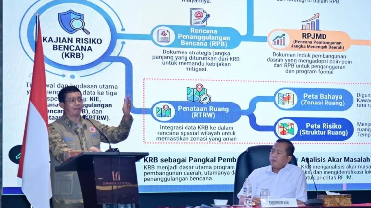 BNPB Ingatkan Daerah Siaga El Nino, Mitigasi Harus Jadi Prioritas