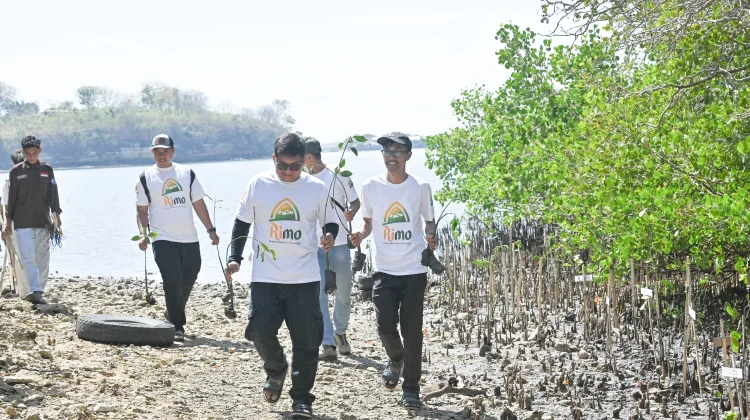 Peringati Hari Mangrove Sedunia, Bank NTB Syariah Tanam Mangrove