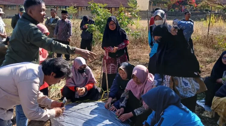Dari Geopark ke Ruang Kelas, GEMS Dorong Sekolah Jadi Laboratorium Konservasi
