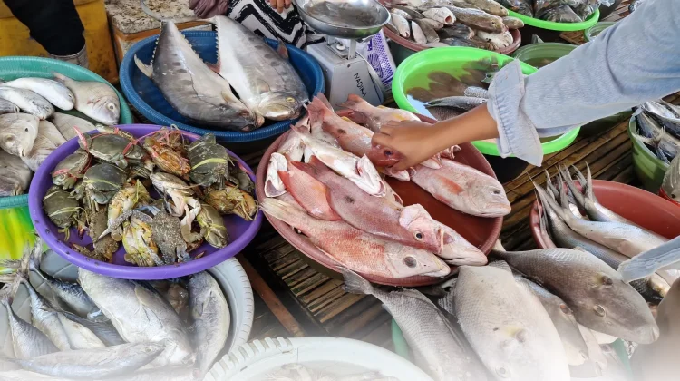 Pantai Lekok Berpeluang Jadi Sentra Pelelangan Ikan Lombok Utara