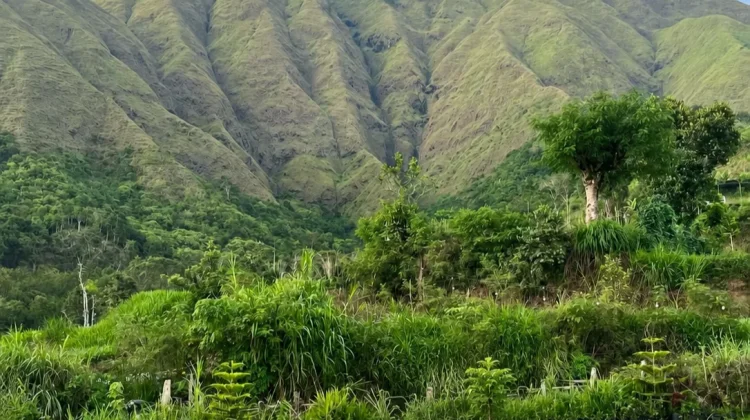 Pariwisata Sembalun Menggeliat, Pemda Terus Lakukan Pembenahan