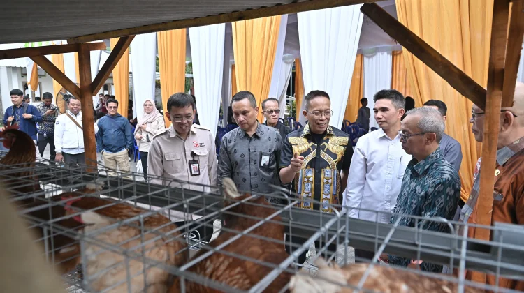Bank NTB Syariah Dukung Program Desa Berdaya, Salurkan Bantuan Ayam Petelur