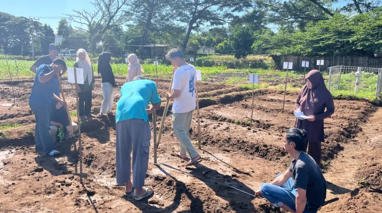 Penggunaan Bioaktivator Trichoderma Dorong Pertanian Berkelanjutan