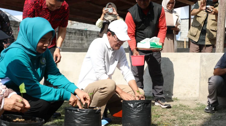 Tanam Cabai di Sekolah Jadi Upaya Lombok Tengah Kendalikan Inflasi