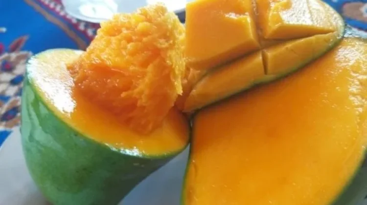 Mangga Arumanis Lombok Utara Menanti Panggung Dunia