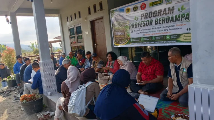 Profesor Berdampak Dorong Pertanian Terpadu Berkelanjutan di Sembalun