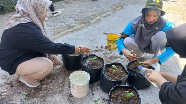 Program BESTI Ajak Siswa SMPN 4 Batukliang Tanam Cabai