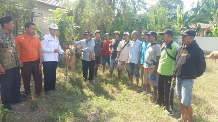 Pengadaan Bibit Ternak Ditarget Rampung Tepat Waktu