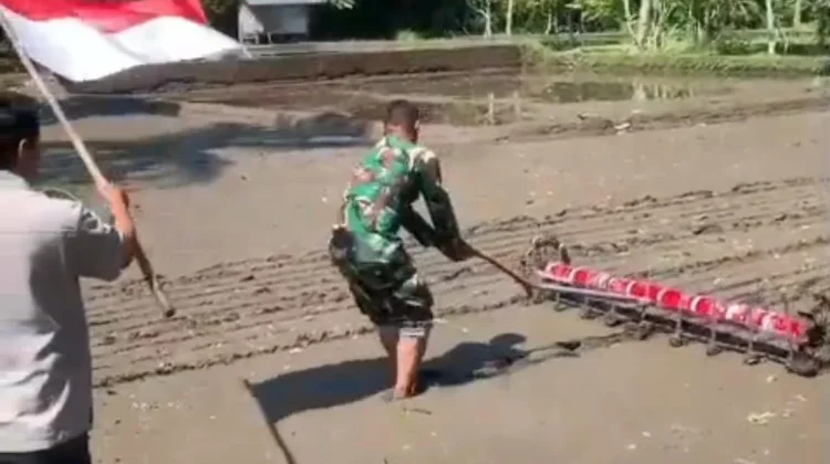 Sinergi TNI dan Petani Percepat Modernisasi Pertanian Suranadi