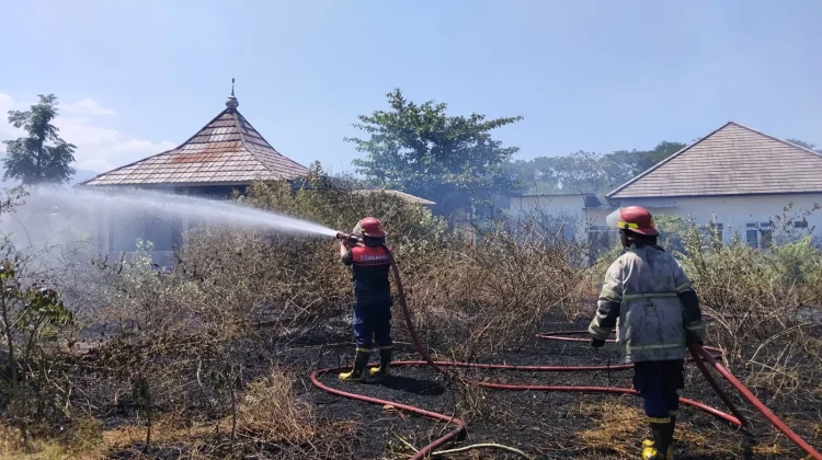 Cuaca Panas Diduga Picu Kebakaran Lahan di Pringgabaya