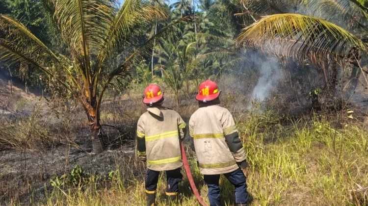 Kebakaran Lahan di Labuhan Haji Berhasil Dipadamkan Damkarmat Lombok Timur