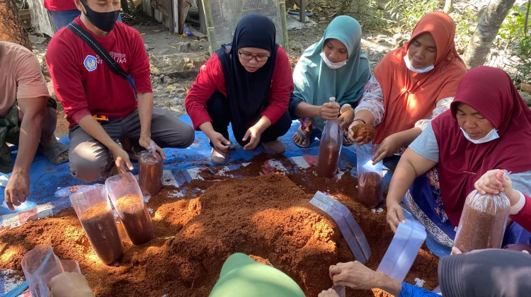 Ubah Serbuk Kayu Jadi Jamur Tiram, UNDIKMA Dorong Ketahanan Pangan Keluarga