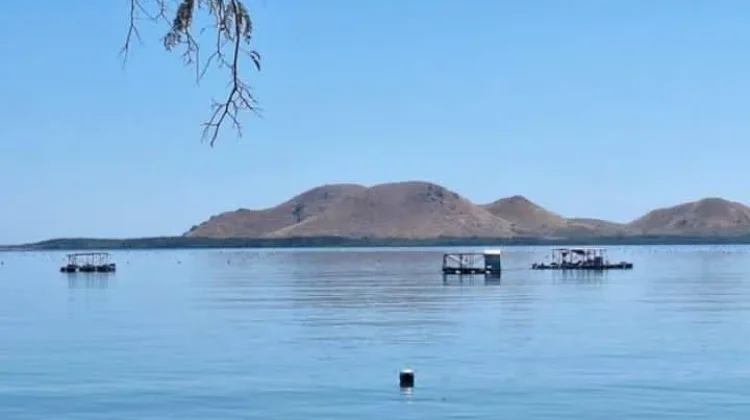 DKP Sumbawa Cek Perizinan Budidaya Mutiara Batu Guring