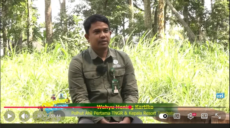 Boleh Berwisata, Jangan Sentuh Pohonnya: Ini Batas di Telaga Biru