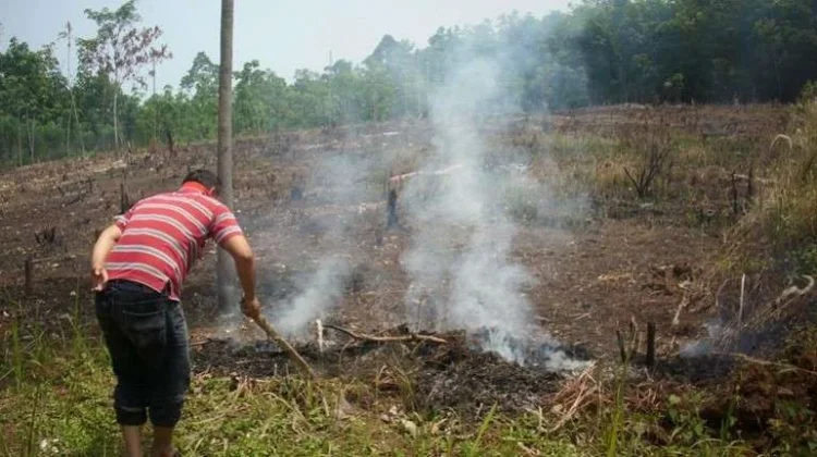 BPBD Dompu Perkuat Mitigasi Ancaman Karhutla