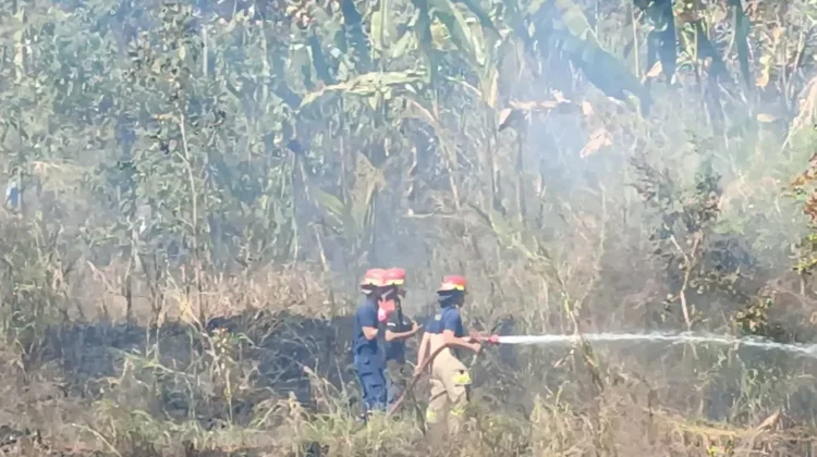 Kebakaran Lahan Dekat Rumah Warga di Aikmel Utara Berhasil Dipadamkan