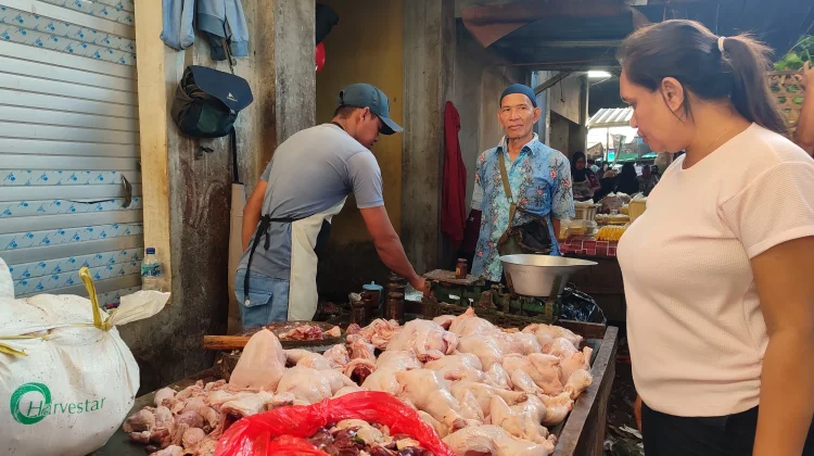 Distan Mataram Perketat Pasokan Ayam untuk MBG