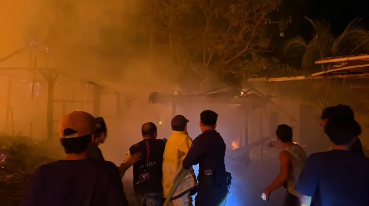 Atasi Kebakaran di Desa Sade, Brimob Polda NTB juga Turunkan Water Cannon
