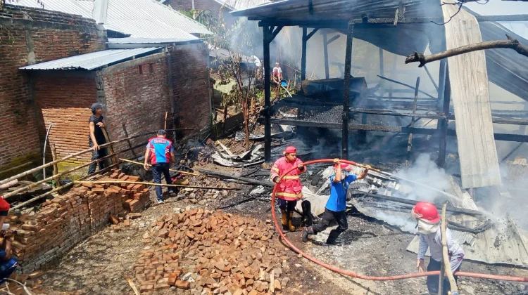 Enam Bulan, 56 Kasus Kebakaran Terjadi di Sumbawa