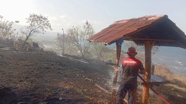 Kebakaran Lahan di Bukit Kayangan Berhasil Dikendalikan