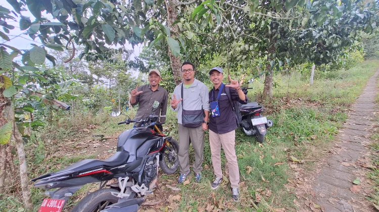 Tanaman Serbaguna Perbaiki Ekologi Hutan Desa Sapit