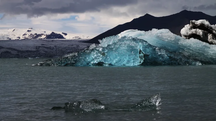 Suhu Laut Dunia Tembus Rekor Tertinggi, Dipicu El Nino dan Perubahan Iklim