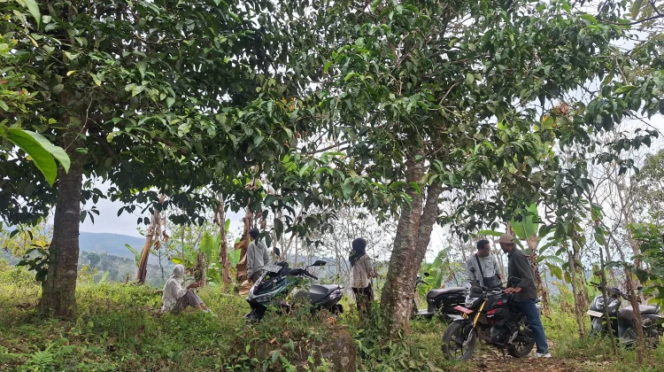 Buah Kerja Sama Warga, Pemerintah, dan Swasta HKm Desa Sapit