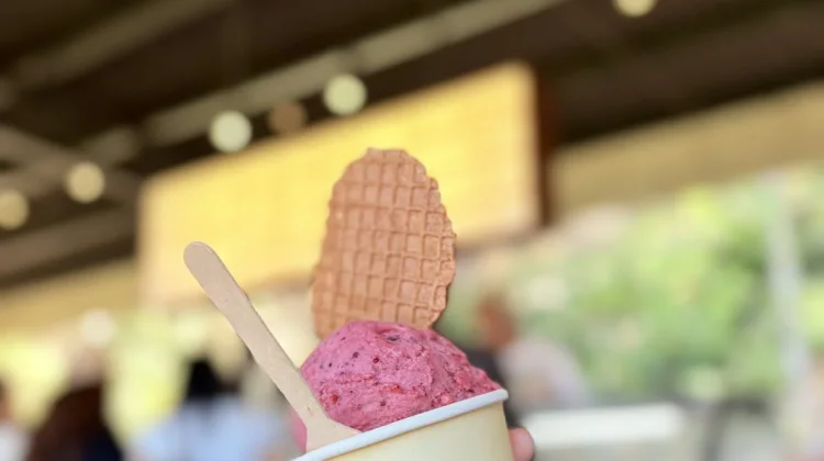 Semangkuk Gelato dan Cerita Panjang di Balik Es Krim