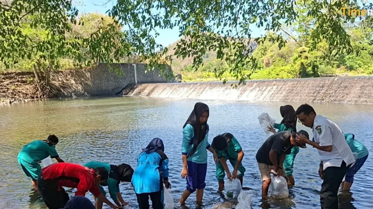 DKP Sumbawa Tuntaskan Restocking Benih Ikan