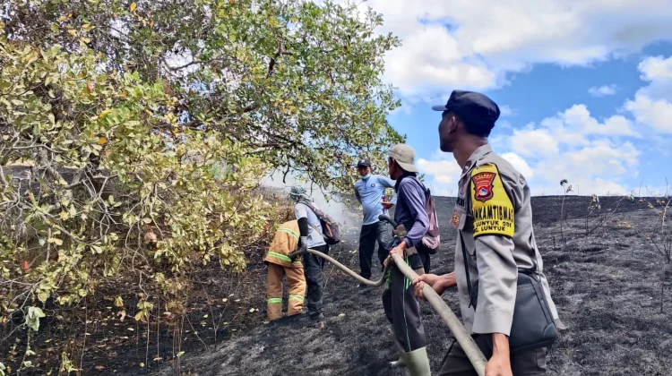 Diduga karena Puntung Rokok, Lahan Warga Lunyuk Terbakar