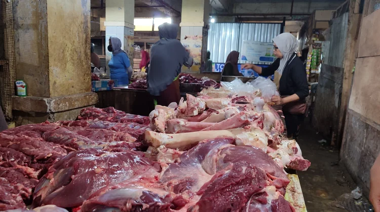 Maulid Dorong Kebutuhan Sapi, Distan Perkuat Pengawasan