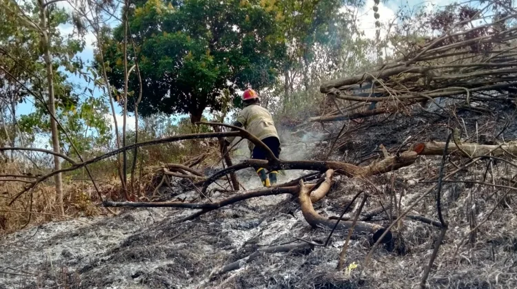 Kebakaran Lahan di Pesugulan Sempat Menjalar ke Permukiman Berhasil Dipadamkan
