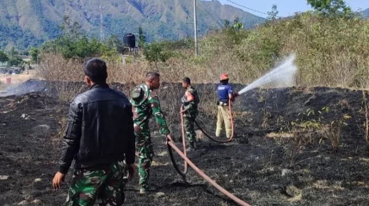 Kebakaran Lahan di Sembalun Berhasil Dipadamkan Damkarmat