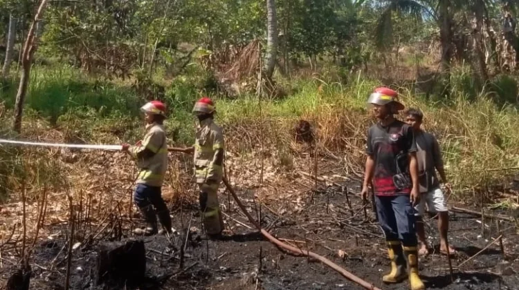 Kebakaran Lahan di Aikmel Berhasil Dipadamkan Damkarmat