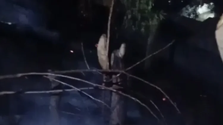 Kebakaran Bukit Loco Senggigi Akhirnya Berhasil Dipadamkan Damkarmat