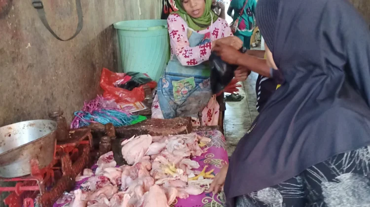 Omzet Pedagang Ayam Pedaging Dompu Terus Mengalami Penurunan