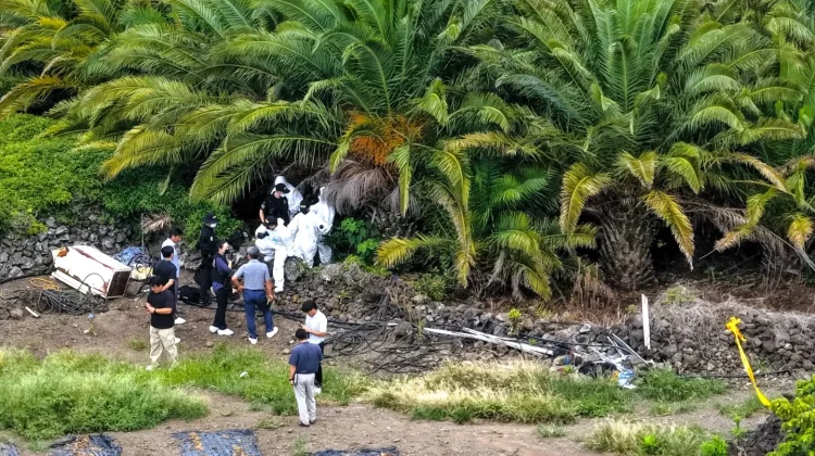KBRI Seoul Telusuri Dugaan TPPO WNI di Jeju, Identitas Korban Belum Terkonfirmasi