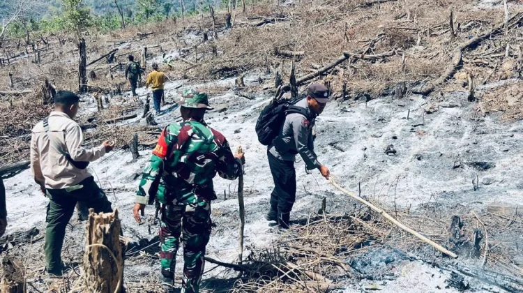 Cegah Api sebelum Berkobar, Polisi-TNI Sisir Hutan Woro