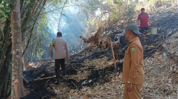 Waspada Kebakaran Lahan Meluas ke Pemukiman Warga