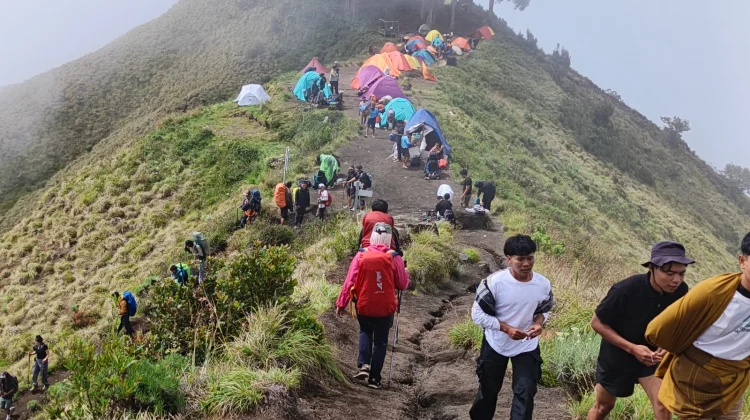 4.617 Pendaki Bakal Naik Rinjani Selama Booking Online Ditutup